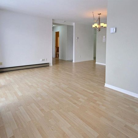 3 1/2 GRAND, lumineux, rénové (LORETTEVILLE) - Photo 4