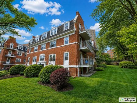 7-3335, avenue Ridgewood, Côte-des-Neiges / Notre-Dame-de-Grâce à louer - Photo 2