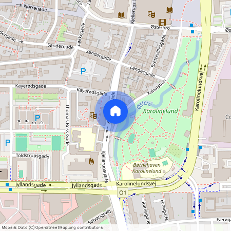 Kjellerupsgade 29, st., 9000 Aalborg