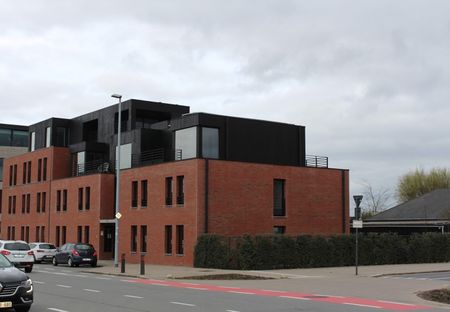 't Hoge 11 - Photo 4