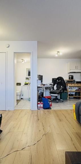 Appartement 3 ½ à louer Sainte-Foy / Sillery juillet 2026 - Photo 1