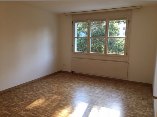 3 ½ Zimmer-Wohnung in Zürich mieten - Photo 1