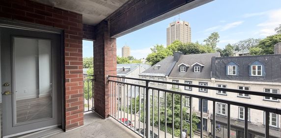 3½ St-Jean-Baptiste – Rabais 100$/mois - Photo 2