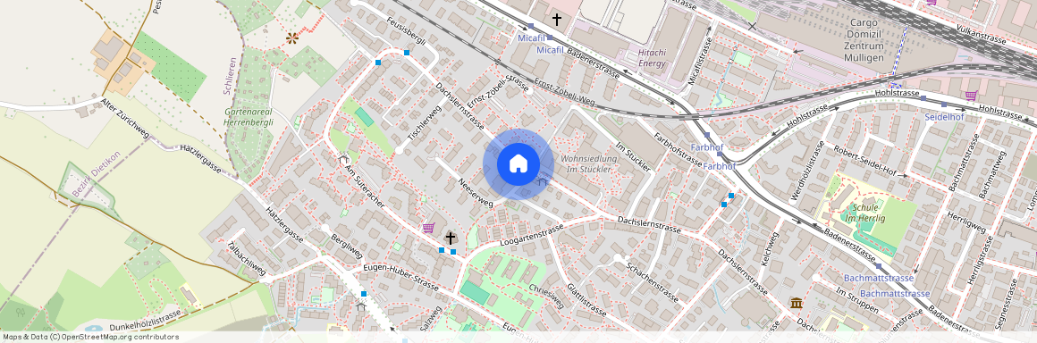 Dachslernstrasse 85, 8048 Zürich