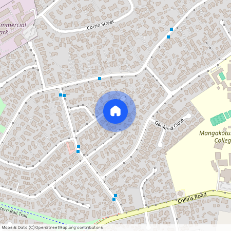 20 Minifie Avenue, Melville, Hamilton City