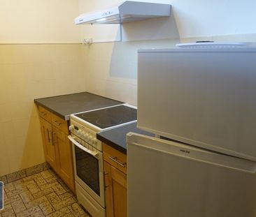 Location Appartement 1 pièce 30m² LA TRONCHE 38700 - Photo 3