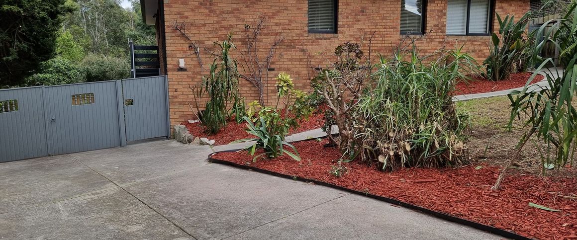 Charming Family Home in Mount Waverley - Photo 1