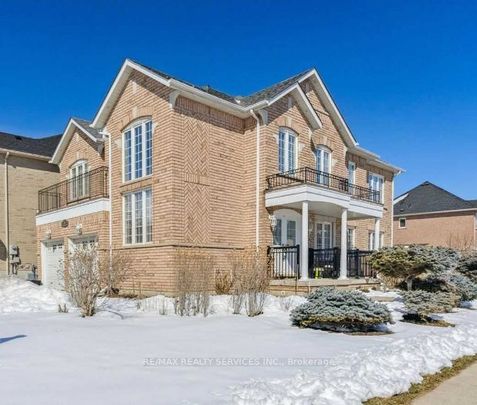 16 Braddock Drive #Basement - Photo 1