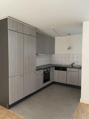 IMMEUBLE D'EXCEPTION - Rue du Manège 19 - appartement au 2ème Nord-Est - DUPLEX - Photo 1