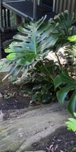 Move‑In Ready Furnished Unit in Prestigious Wahroonga Location - Photo 4