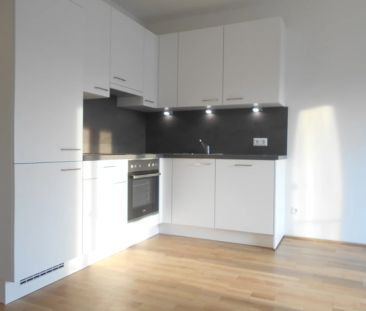 Q5 am PARK schöner Ausblick, sonnige 2ZI mit 9m² West/ Balkon - Photo 3