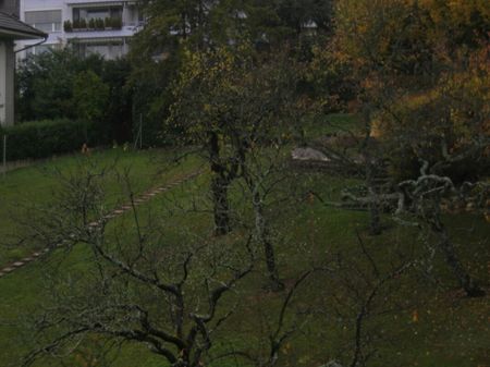 2-Zimmer-Wohnung - Photo 5