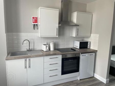 Flat 1, 9 Malone Road, Belfast, BT9 6RT - Photo 3