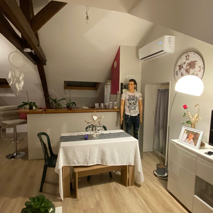 APPARTEMENT SAINT DOULCHARD RENOVE DE 2 PIECE DE 38 m2 - Photo 1