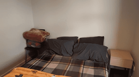 One Beddy City Apartment - Close to Everything! - Photo 2