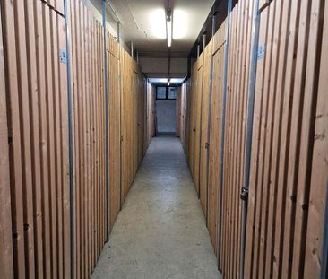 Frisch renovierte 3 Zimmer Wohnung zu vermieten - Photo 2