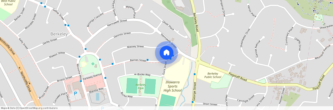 8 Barnes Street, Berkeley 2506, New South Wales