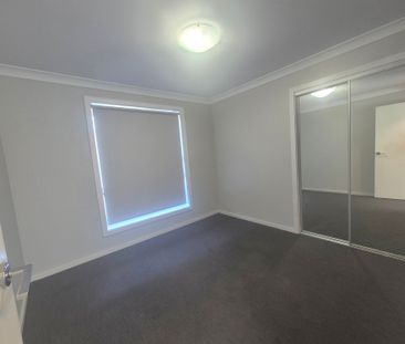 Beautiful Basil - Photo 6