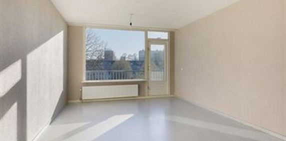 New Yorkdreef, 3564 Utrecht, Nederland - Photo 2