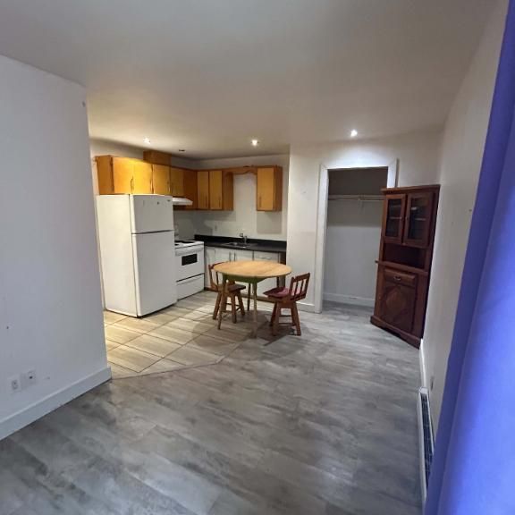 1 1/2 à aire ouverte - 755$ tout inclus - Photo 1