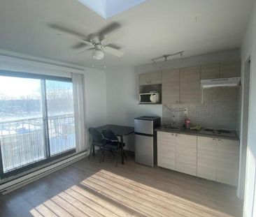 1 1/2 - Montréal (La Petite-Patrie) - 950 $/mois - Photo 3