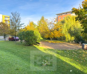 Pronájem bytu 1+kk 29 m2 - Fotografie 3