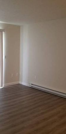 Beautiful Renovated 1- Bed Available - Photo 1