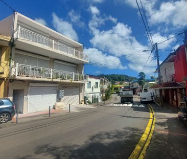 Location appartement 3 pièces, 67.79m², Saint-Esprit - Photo 5