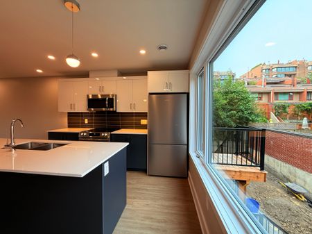 115-117-119 Springfield - Photo 2