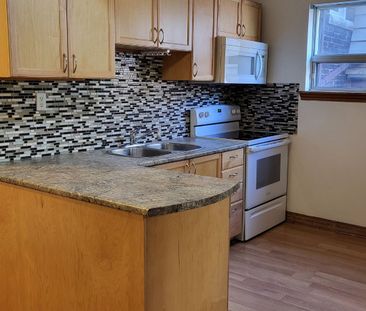 For Lease - 10 Bloomfield Avenue Unit# Main & Bsmt, Toronto, Ontario - Photo 4