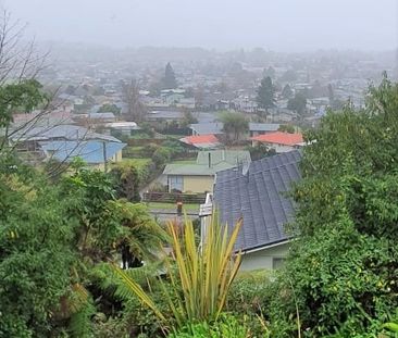 Views Are Amazing! Selwyn Heights - Photo 6