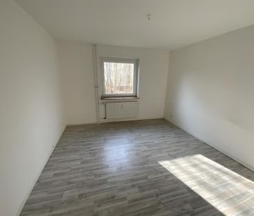 2-Zimmer-Wohnung in Harrislee mieten - Foto 1