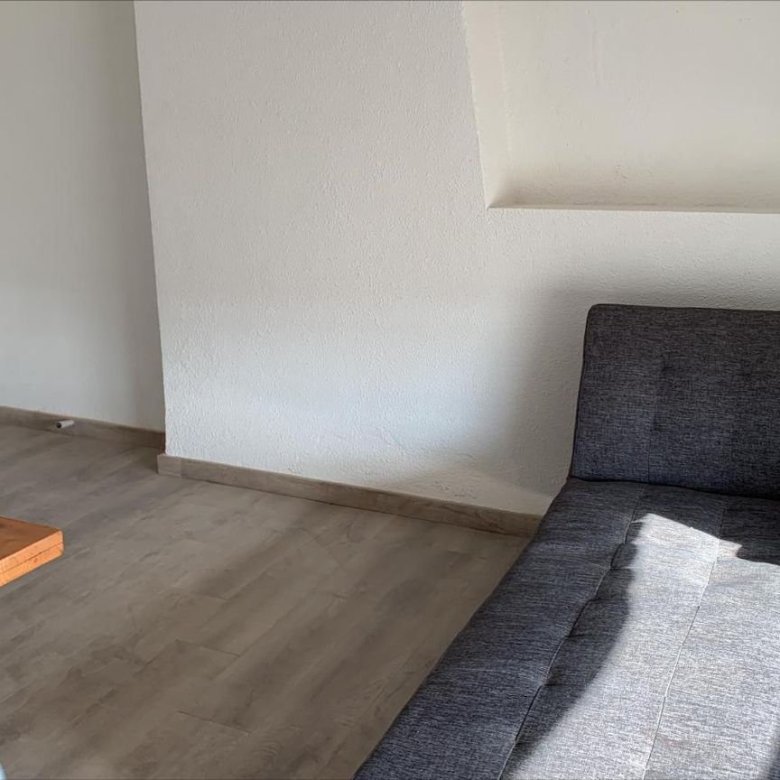 Location Appartement 1 pièce 16m² AUBENAS 07200 - Photo 1