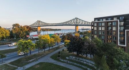 Jacques condo apartments for rent in Ville-Marie - Photo 3