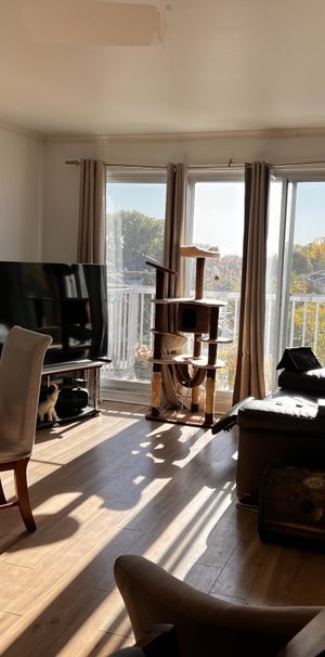 Cession De Bail – Grand 4 ½ Lumineux - Photo 1