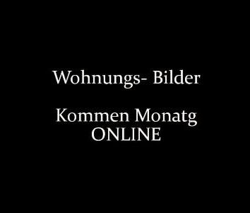 Nachmieter gesucht ( Wohnung ) - Foto 1
