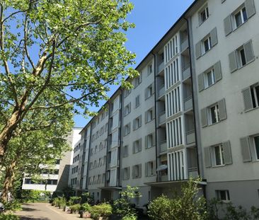 Enjoying city life - Photo 4