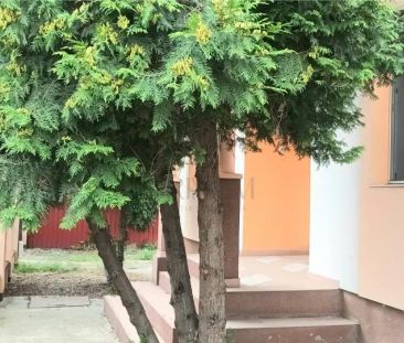 Casa individuala P + M de inchiriat nemobilata - Lipovei - Mall - Fotografie 4