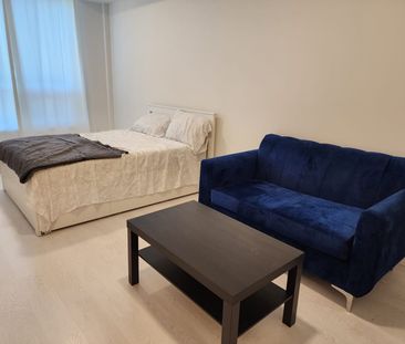 For Lease - 415 Main Street Unit# 509, Hamilton, Ontario - Photo 3