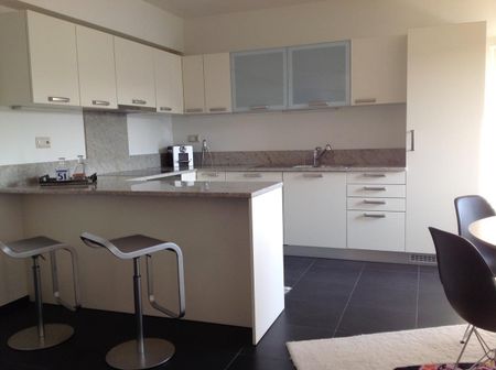 Appartamento arredato 3.5 locali a Lugano Centro con vista lago - Foto 4