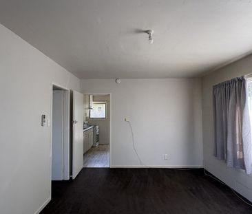 Tidy Flat in Hamilton East - Photo 2