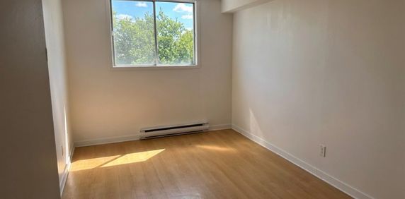 Mountview Apartments - Photo 2