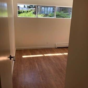 Newly Renovated 1 Bedroom at Pineview Place - Photo 3