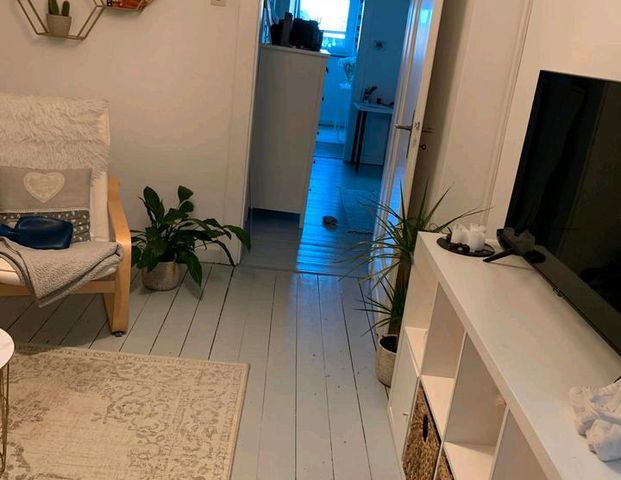 Nachmieter gesucht für Singlewohnung im Riemekeviertel - Foto 1