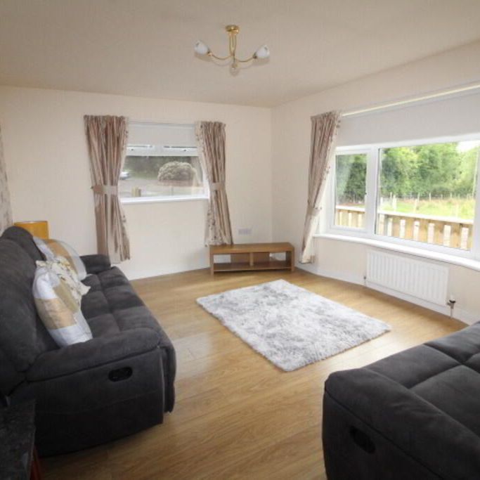 26a Boghill Road, Newtownabbey, BT36 4QS - Photo 1