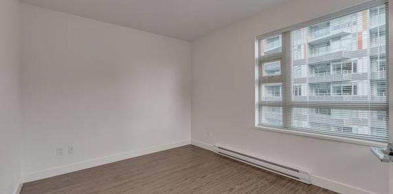 GORGEOUS 1 BDR APT, PET FRIENDLY-RICHMOND - Photo 2