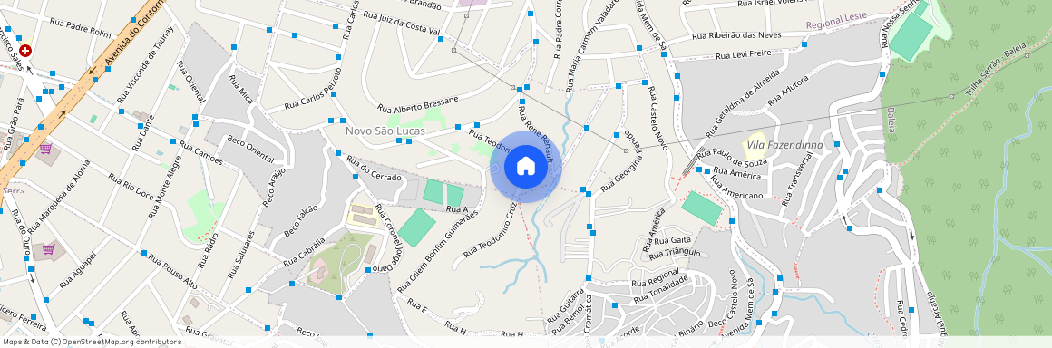 Rua Teodomiro Cruz, 175, São Lucas, Belo Horizonte, Minas Gerais, 30240530