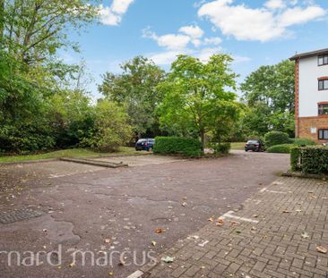 Lampton Road - Photo 5