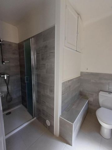 Location Appartement 1 pièce 20m² MILLAU 12100 - Photo 4
