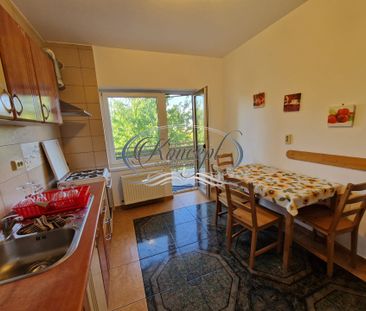 Casa cu 5 camere, garaj si curte in Andrei Muresanu - Photo 3